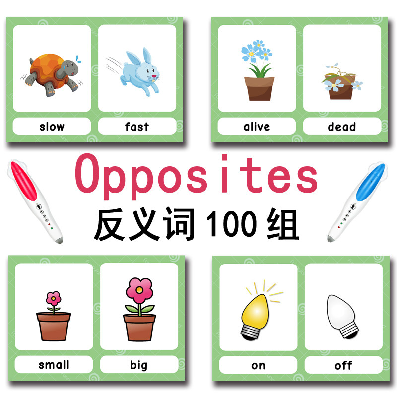 The 100 Groups Opposites Flash - огляд і ціна Kid Educational
